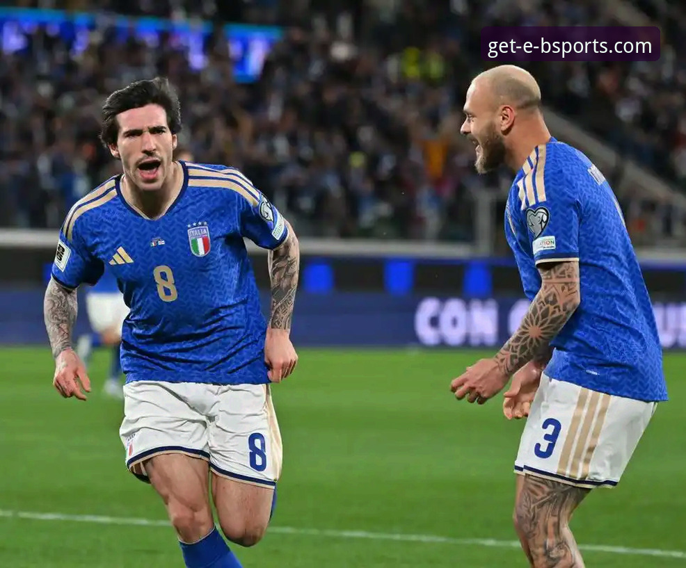 深度解析波黑淘汰意大利：如何通过专业体育平台获取赛事完整指南